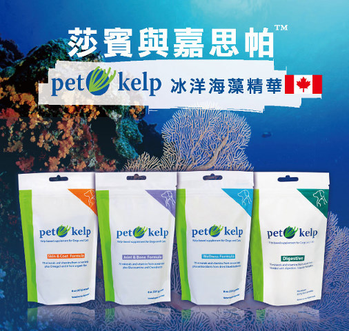 News_pet kelp