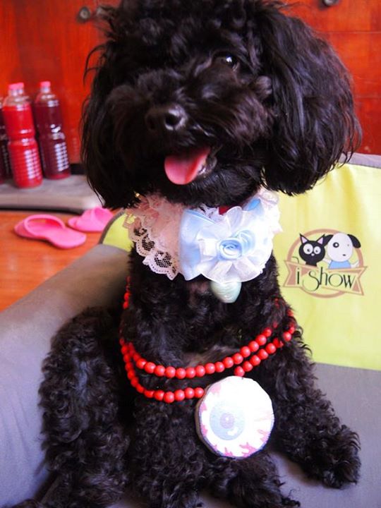 Testmonial_130801_Lulu麻1