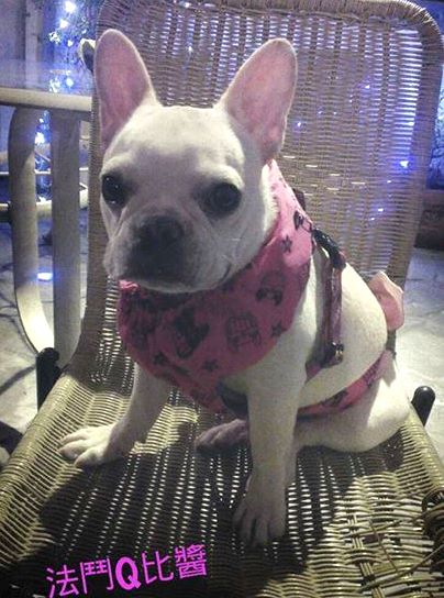 Testmonial_130801_Q比麻5